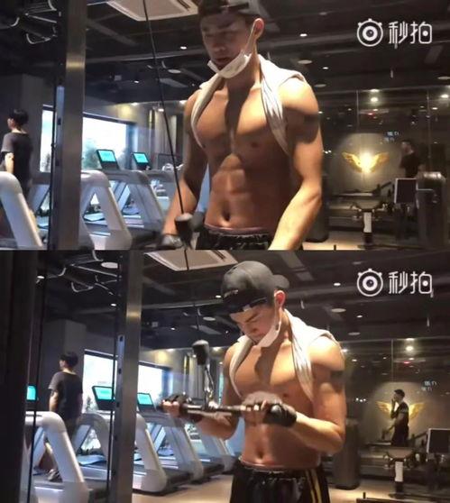 健身广场爆料视频大全集,揭秘健身圈那些事儿  第1张